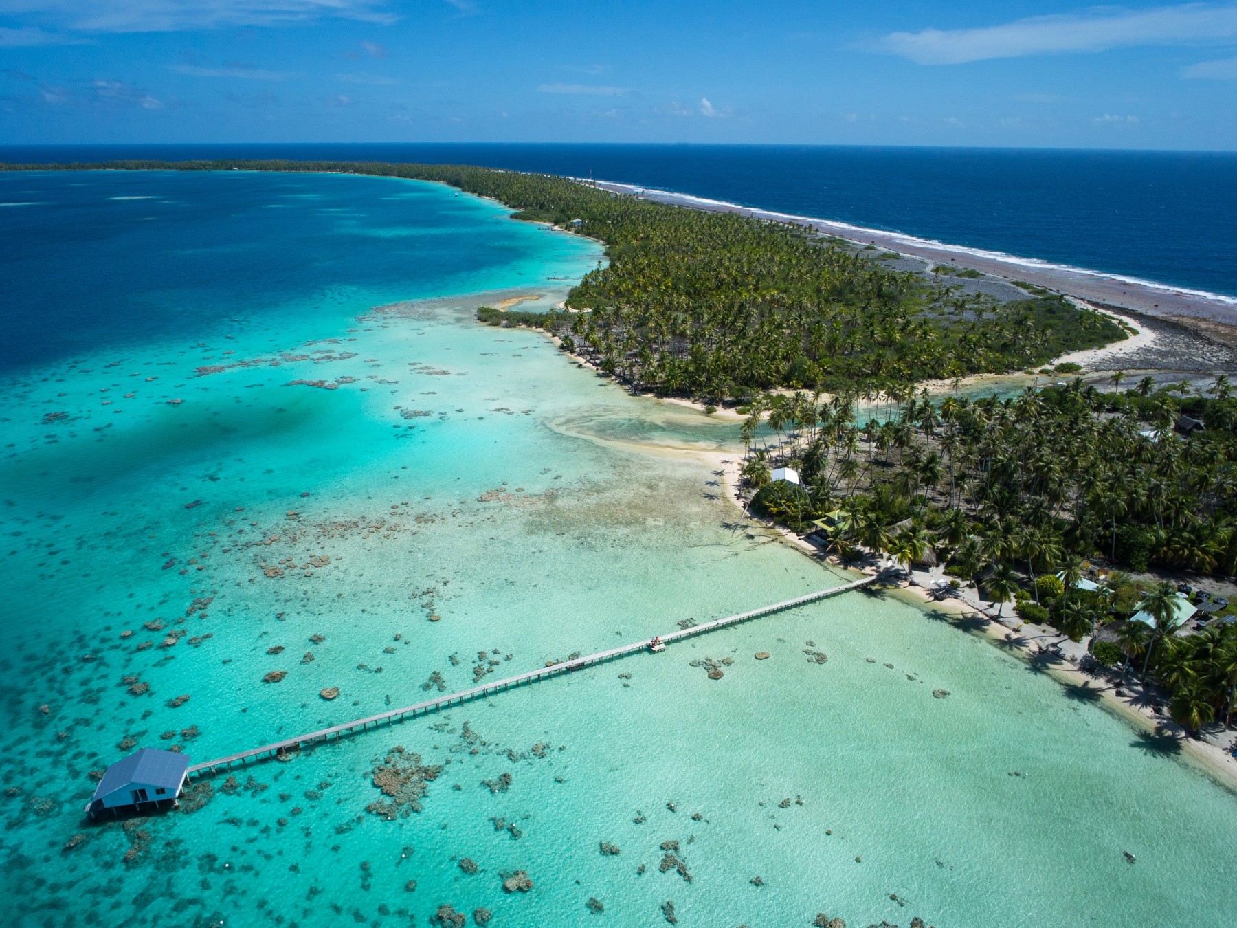 Pension Cocoperle Lodge